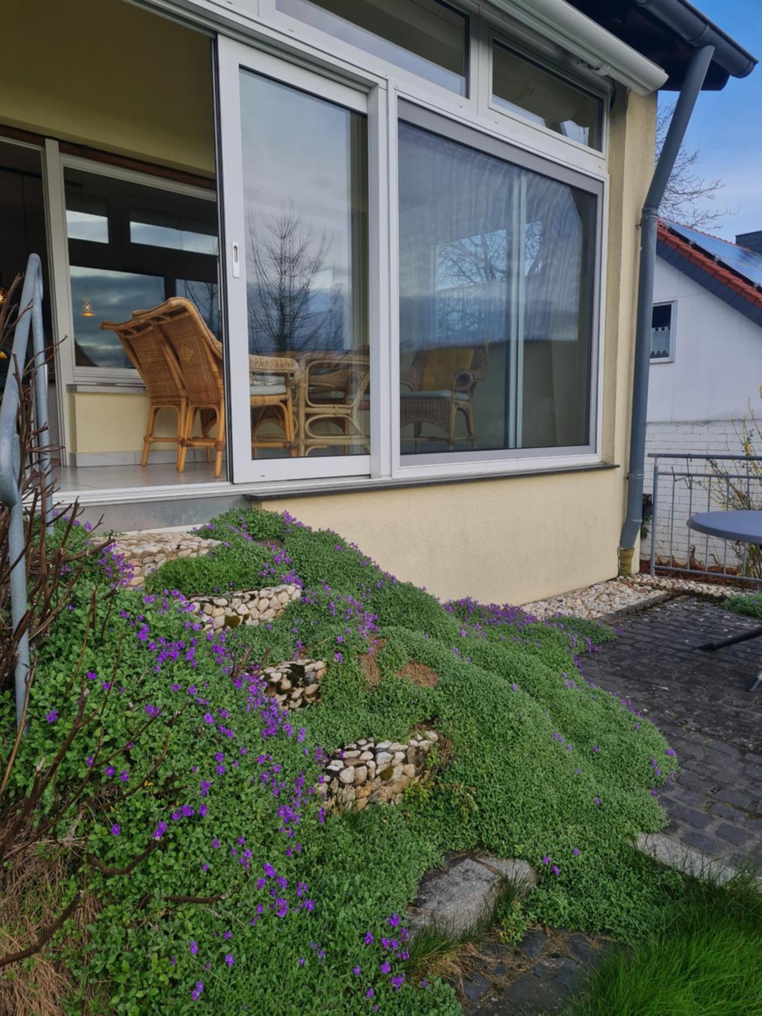 Ferienwohnung Im Rurtal Kreuzau Exterior foto